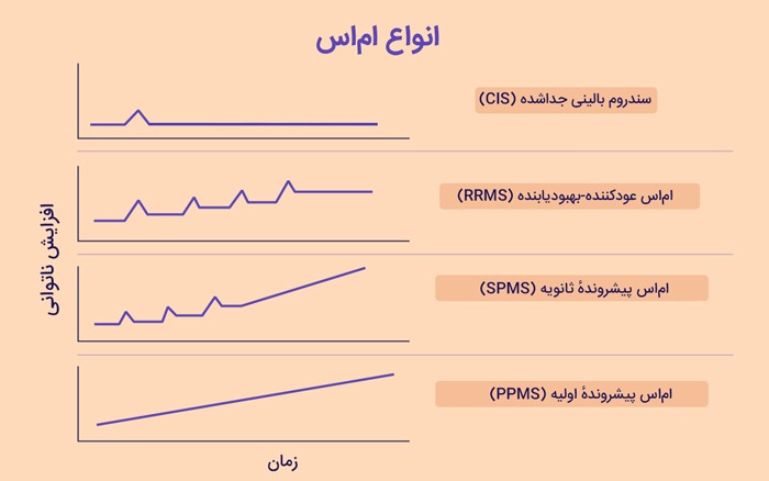 انواع اماس